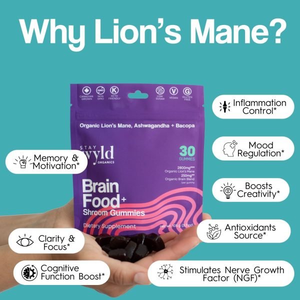 Brain Food Mushroom Gummies
