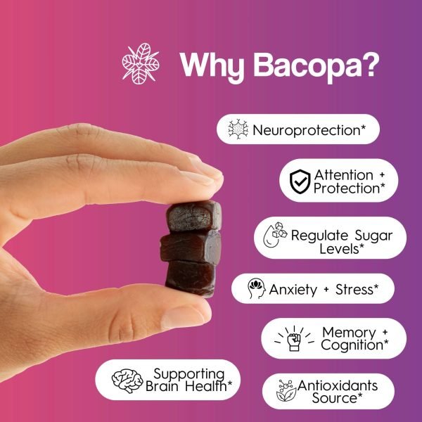Brain Food Mushroom Gummies