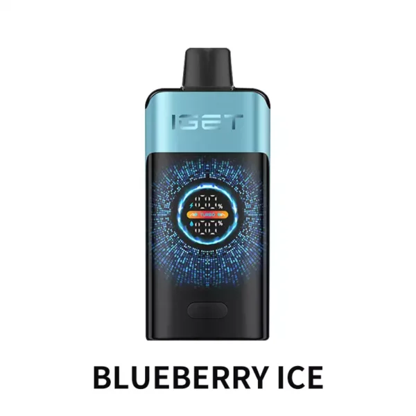 IGET ONE 12000 – Blueberry Ice