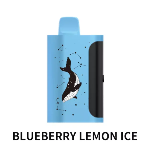 PICCO STAR 40000 – Blueberry Lemon Ice