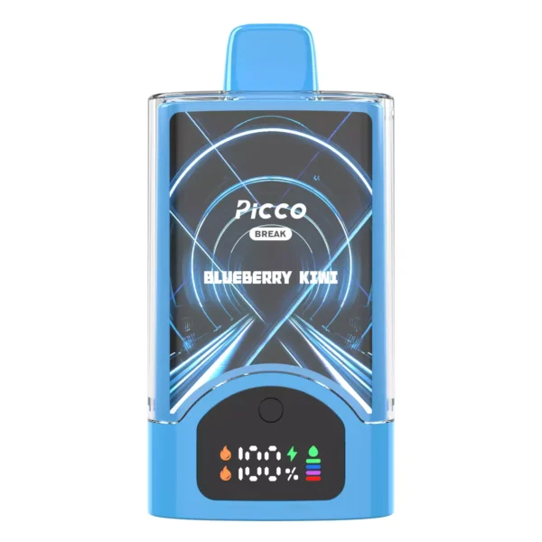 PICCO BREAK 30000 – Blueberry Kiwi